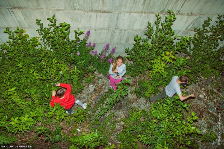 img_4482_0.jpg
