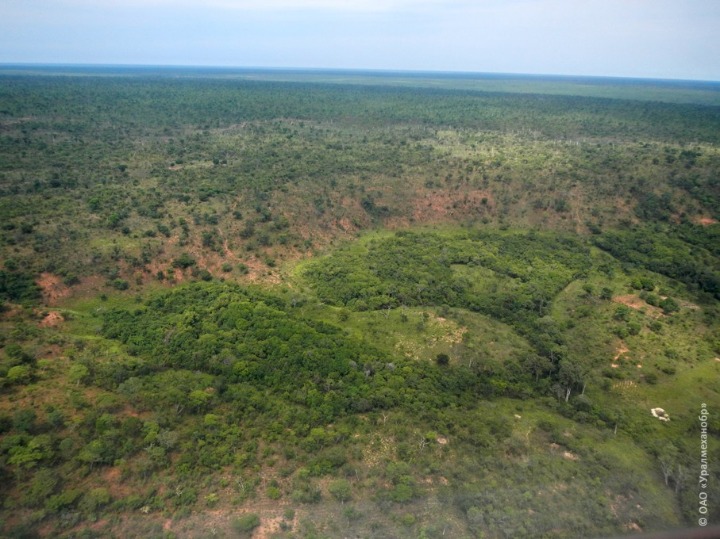 0004._savanna.jpg